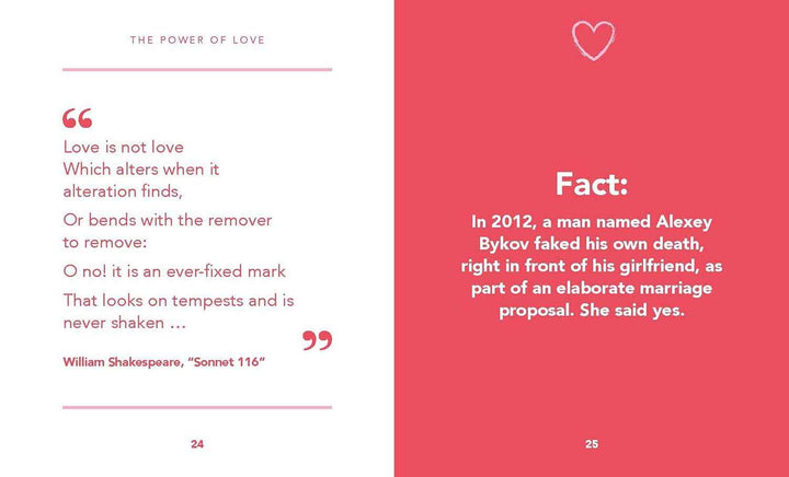 THE LITTLE BOOK OF LOVE