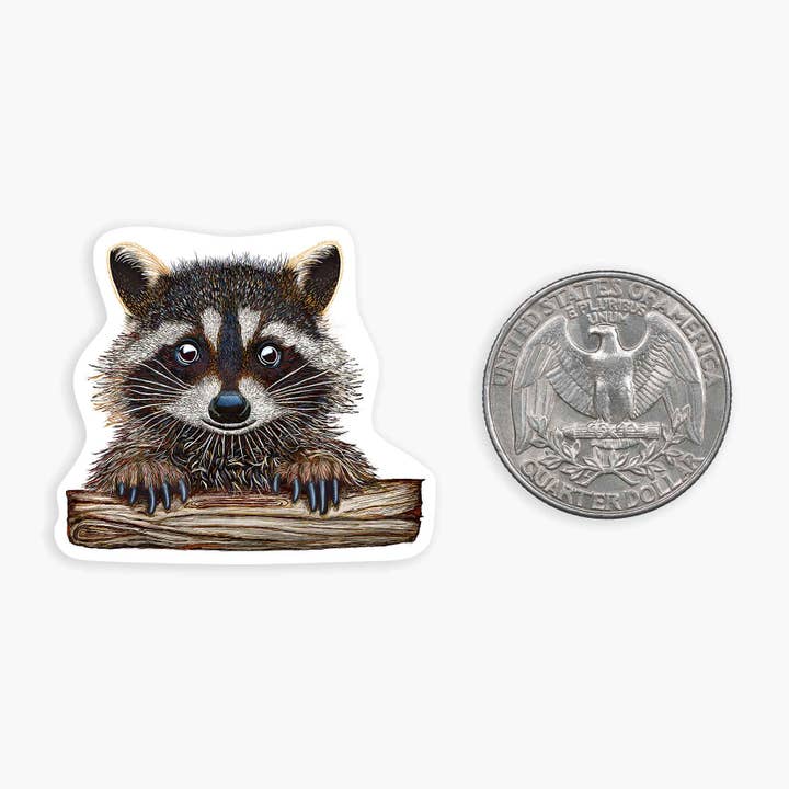 ROCKY RACCOON MINI STICKER