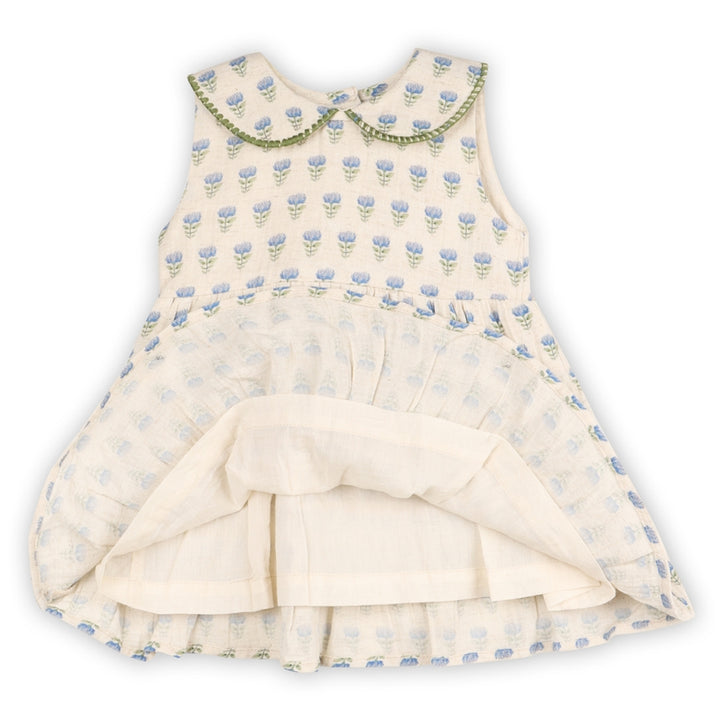 HARPER PETER PAN COLLAR FLORAL FLARE DRESS + BLOOMER SET