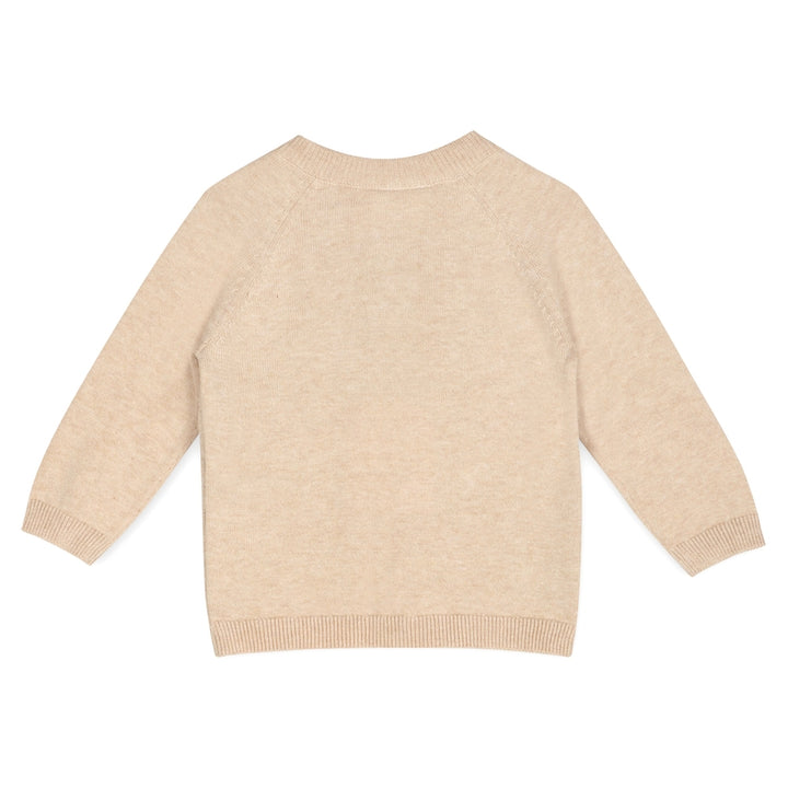 DOXIE DOG JACQUARD KNIT RAGLAN PULLOVER