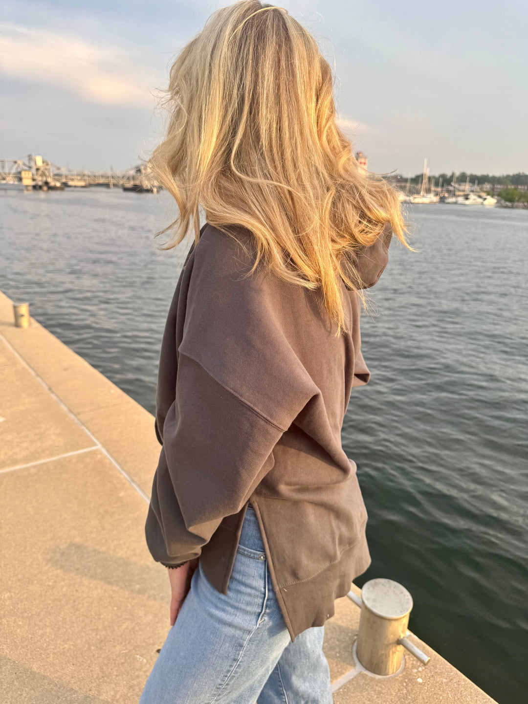 CARBON DOOR COUNTY BRIGHTS EMBROIDERED HOODIE