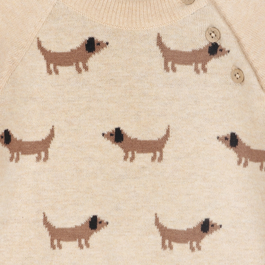 DOXIE DOG JACQUARD KNIT RAGLAN PULLOVER