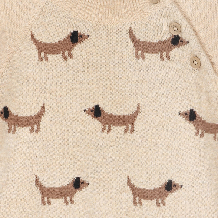 DOXIE DOG JACQUARD KNIT RAGLAN PULLOVER