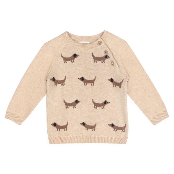 DOXIE DOG JACQUARD KNIT RAGLAN PULLOVER