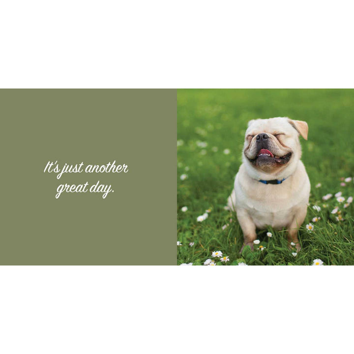 THANKS FOR PICKING UP MY POOP BOOK