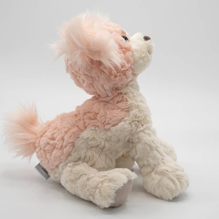 PUTTY PARIS PUPPY
