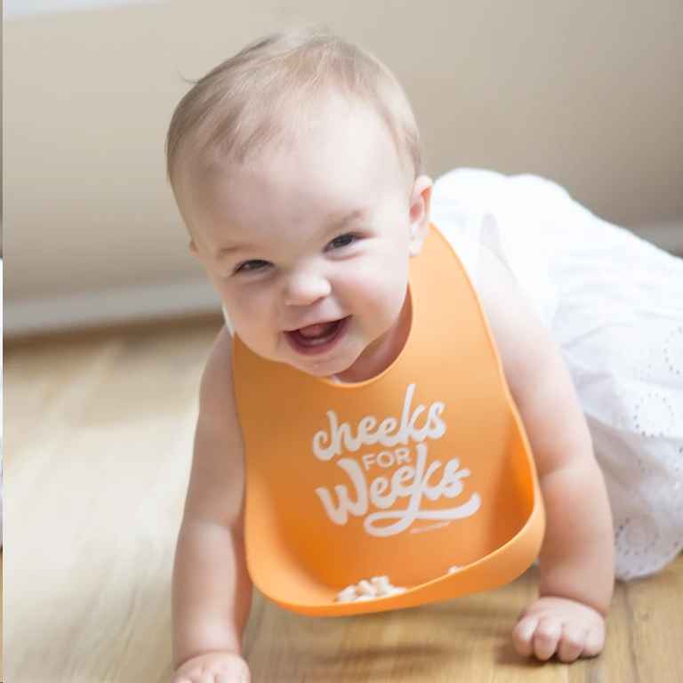 CHEEKS FOR WEEKS WONDER BIB