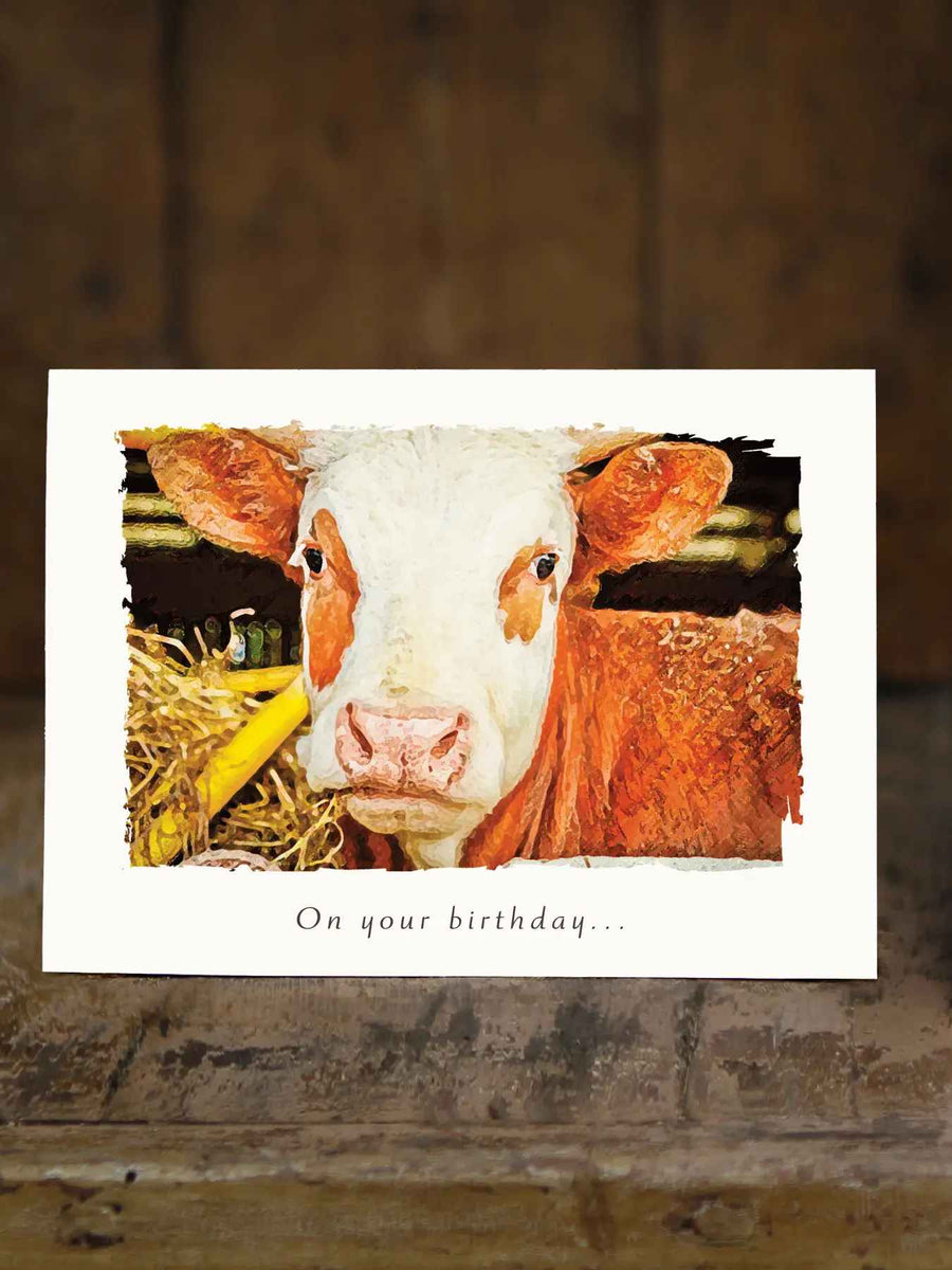 COW CARD
