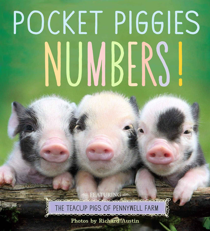 POCKET PIGGIES NUMBERS!