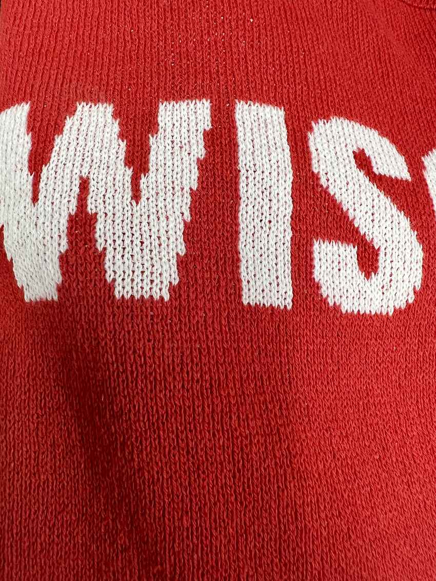 Wisconsin Everyday Relaxed Sweater