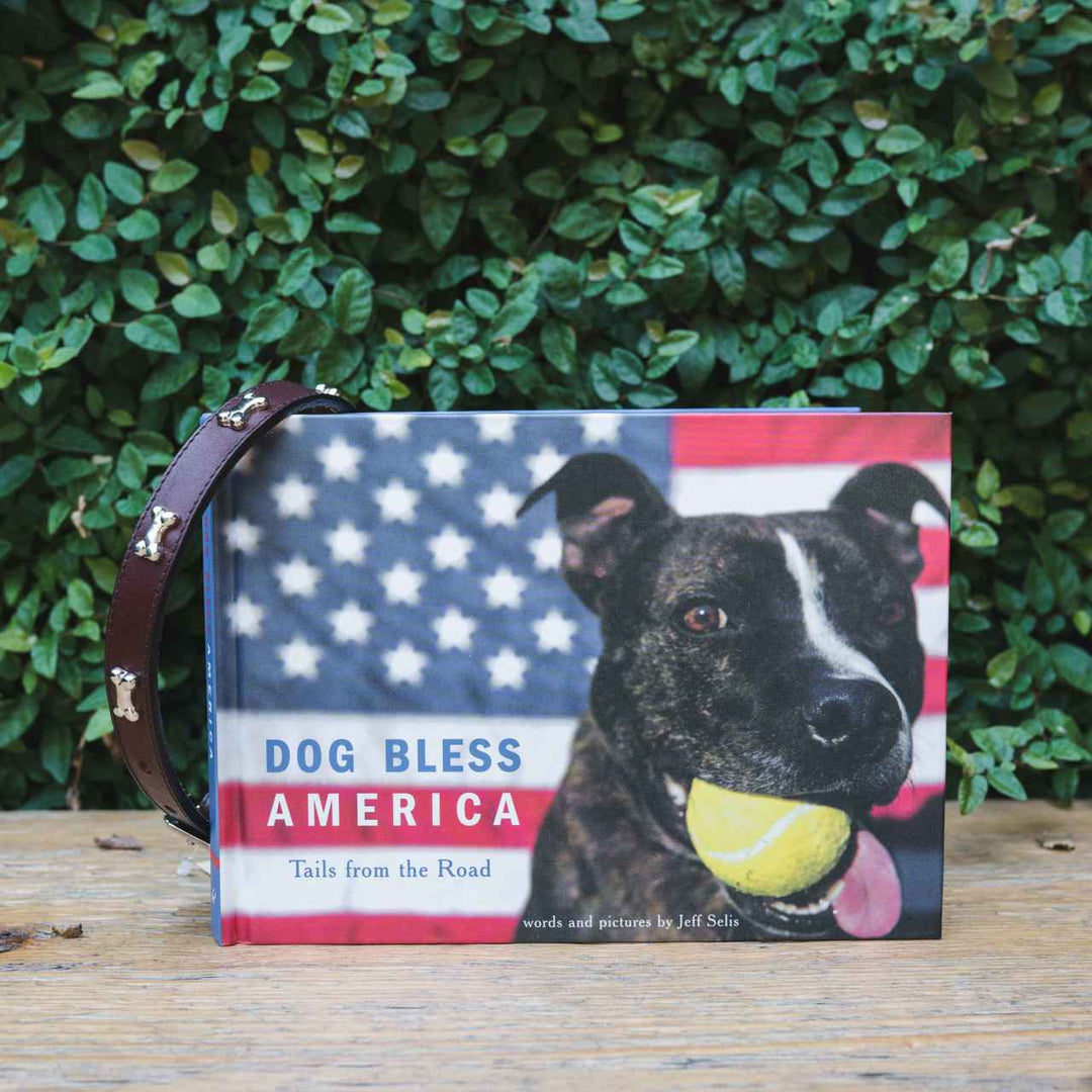 DOG BLESS AMERICA