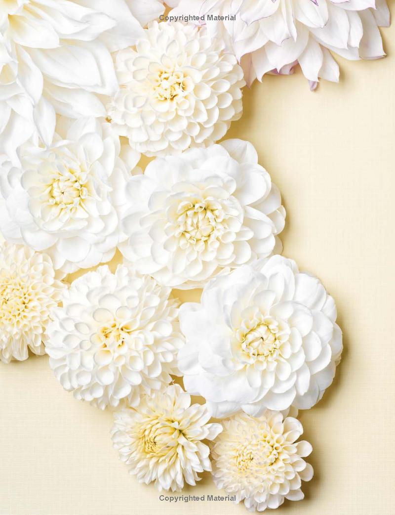 DAHLIAS COFFEE TABLE BOOK