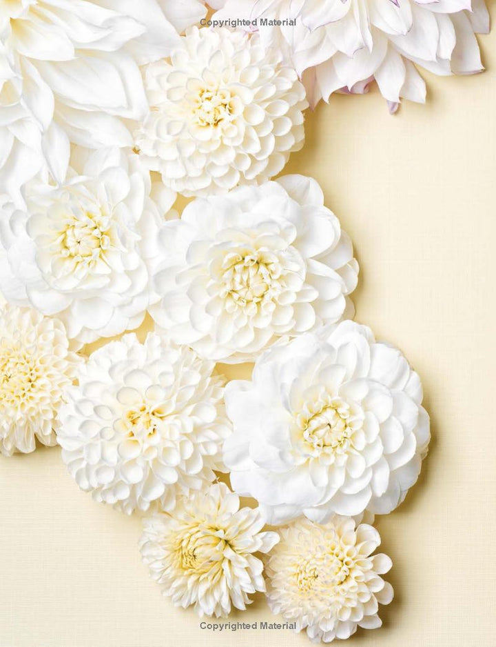 DAHLIAS COFFEE TABLE BOOK