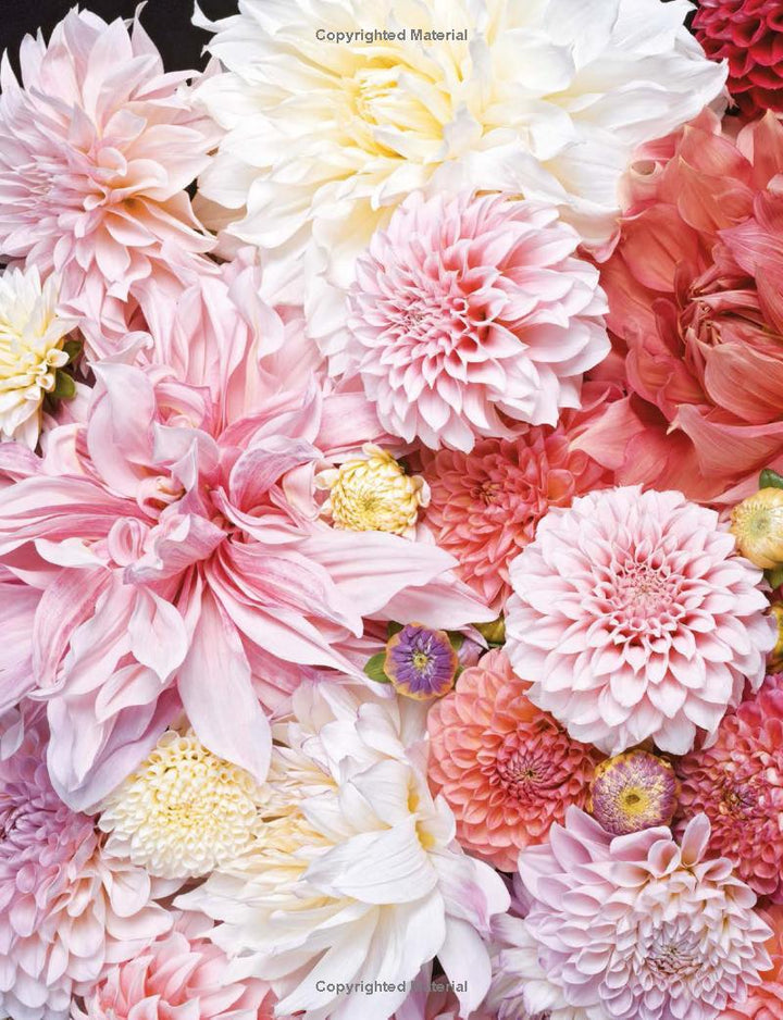 DAHLIAS COFFEE TABLE BOOK