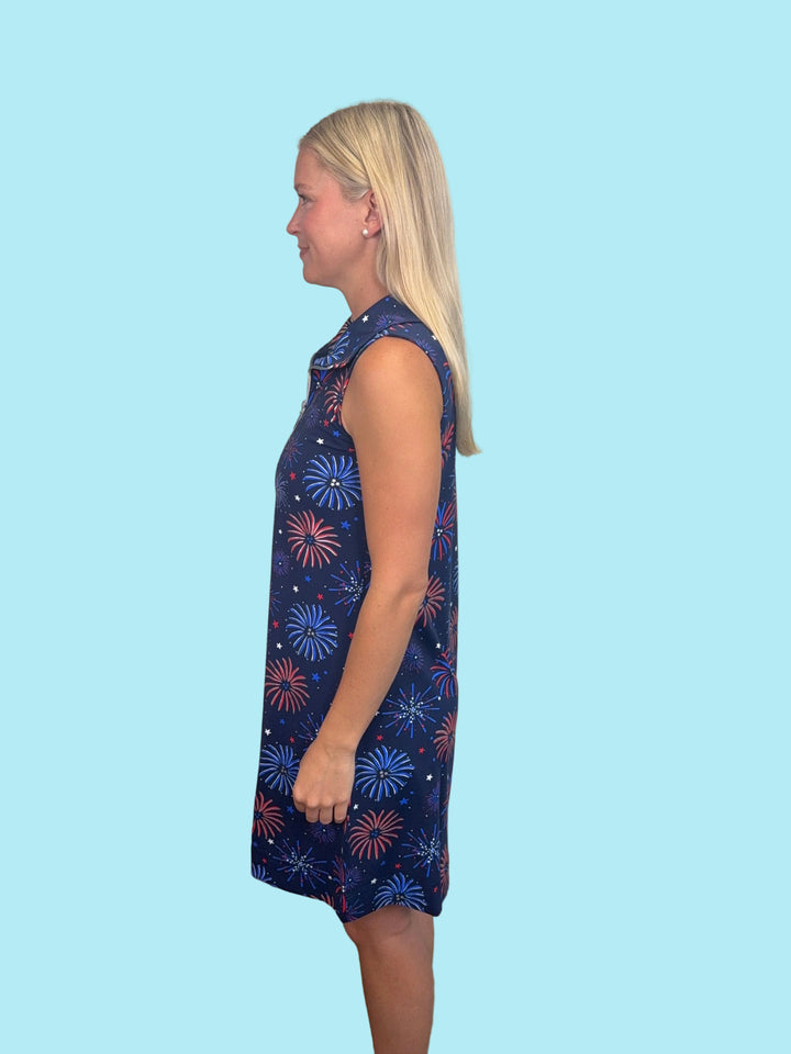 JAMIE FIREWORKS SLEEVELESS ZIP DRESS