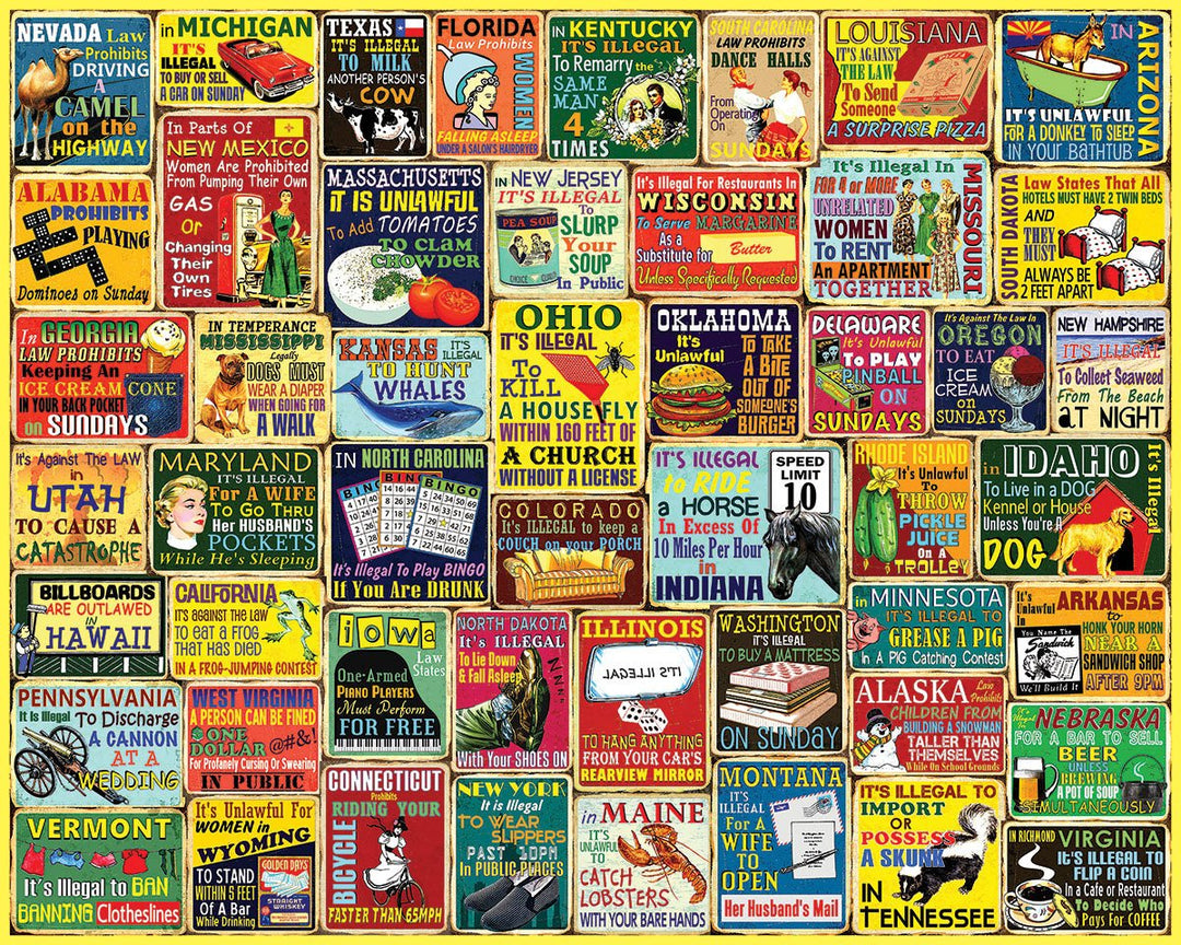 CRAZY STATE LAWS 1000 PIECE PUZZLE