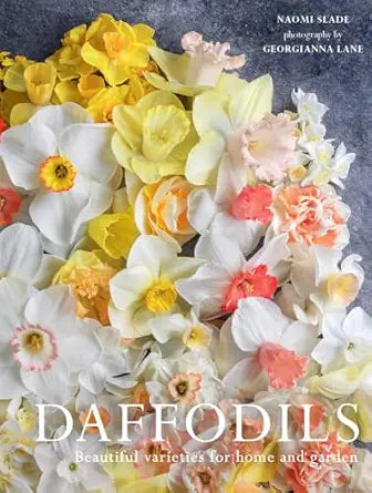 DAFFODILS COFFEE TABLE BOOK
