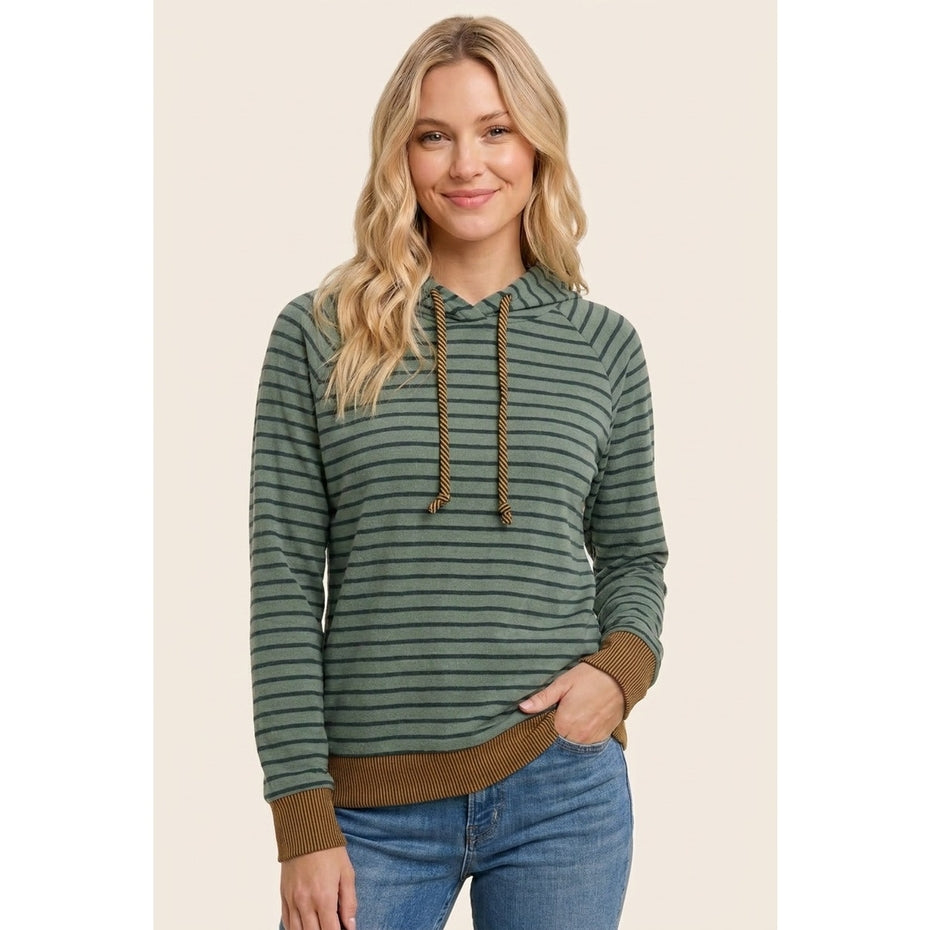 OLIVE STRIPE MICRO BRUSHED KNIT HOODIE