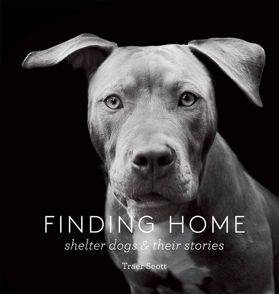 Finding Home
