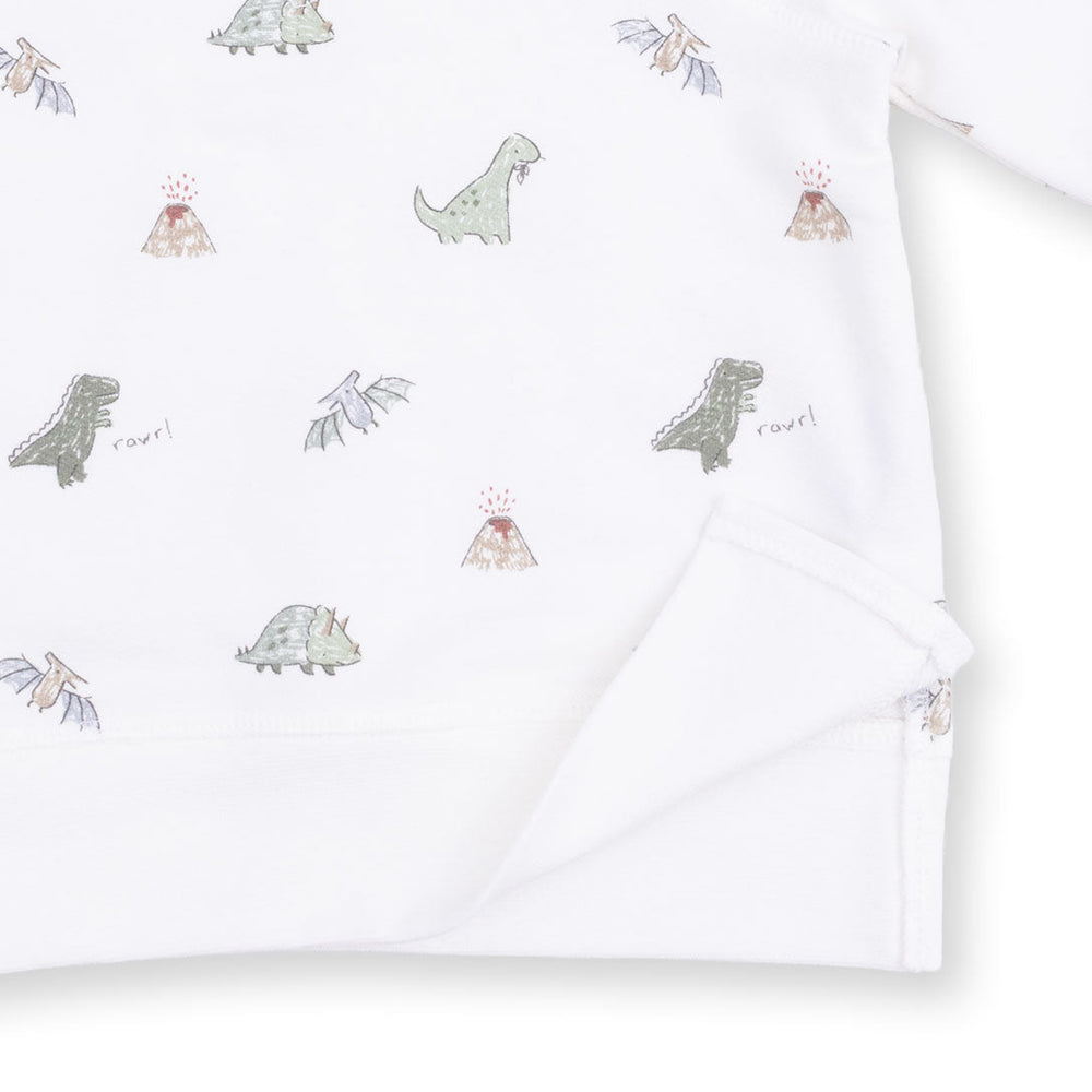 DINOS FRENCH TERRY RAGLAN SWEATSHIRT
