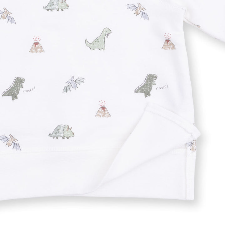 DINOS FRENCH TERRY RAGLAN SWEATSHIRT