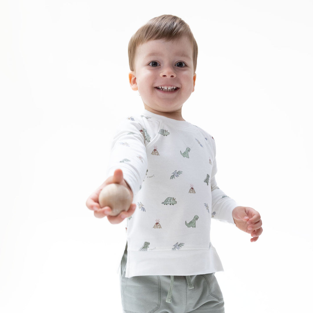 DINOS FRENCH TERRY RAGLAN SWEATSHIRT