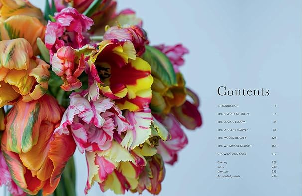 TULIPS COFFEE TABLE BOOK
