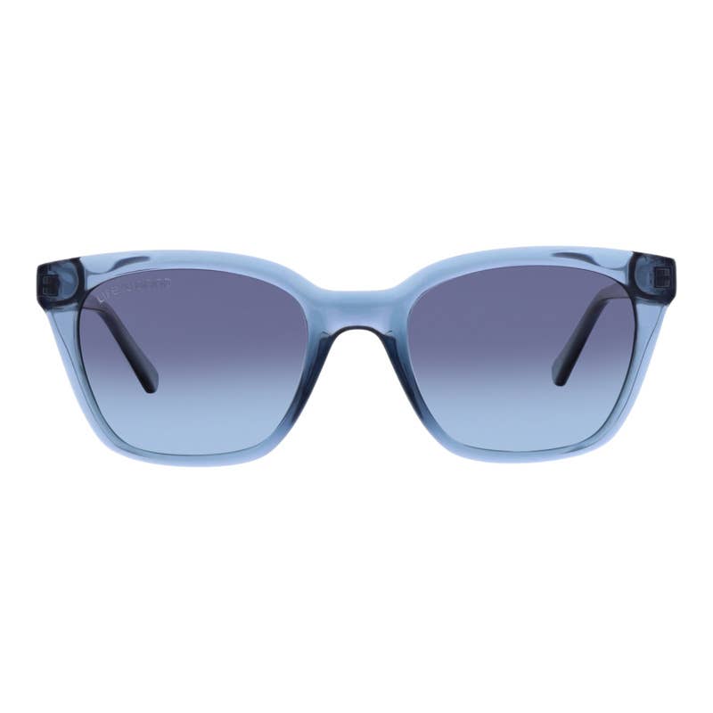 REYES BLUE POLARIZED SUNGLASSES

