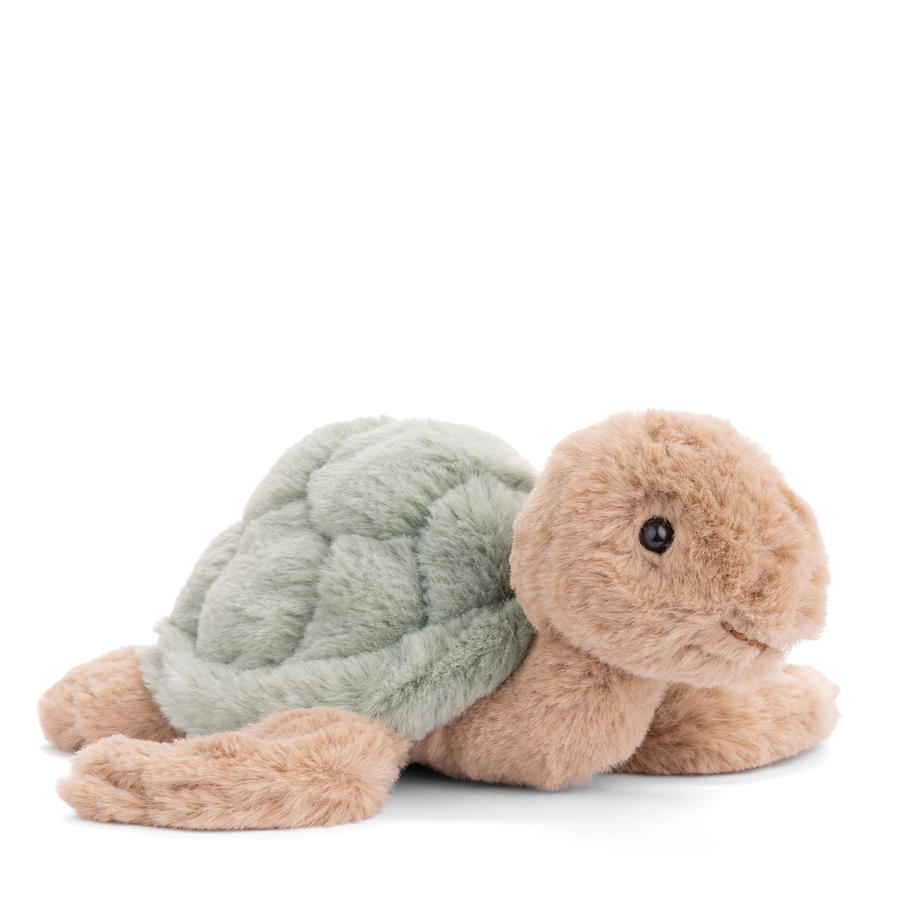 BABY SANDY TURTLE
