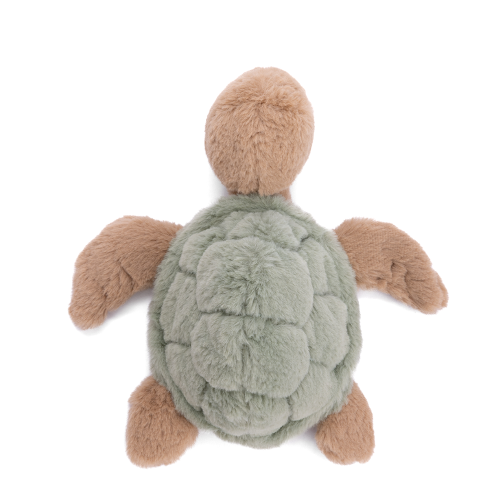 BABY SANDY TURTLE