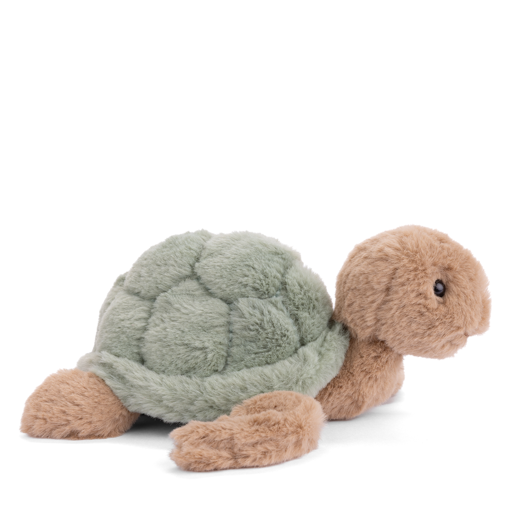 BABY SANDY TURTLE
