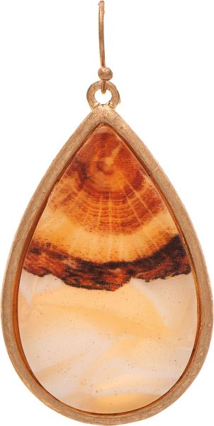 Gold Brown Desert Teardrop Earrings
