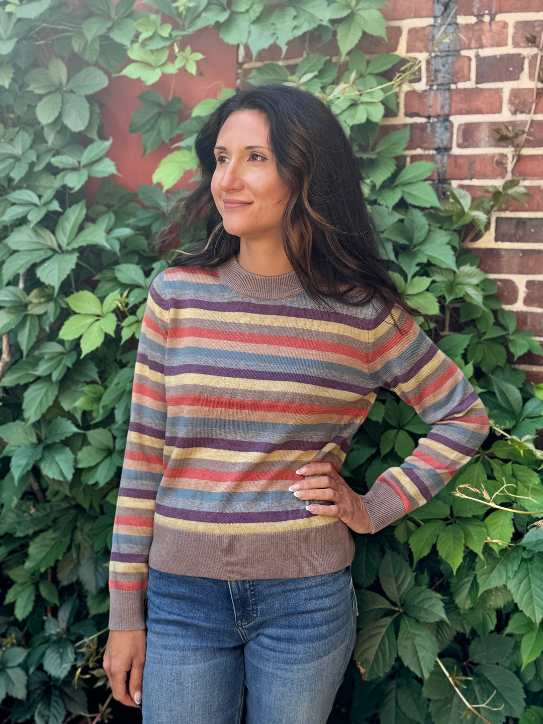 MOCHA MULTI CREW SWEATER