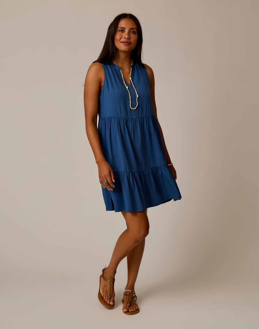 CARVE DESIGNS VINTAGE BLUE NELLIE DRESS – Wilkins & Olander