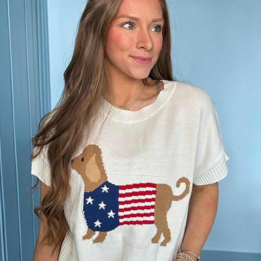 PATRIOTIC WEINER DOG SWEATER
