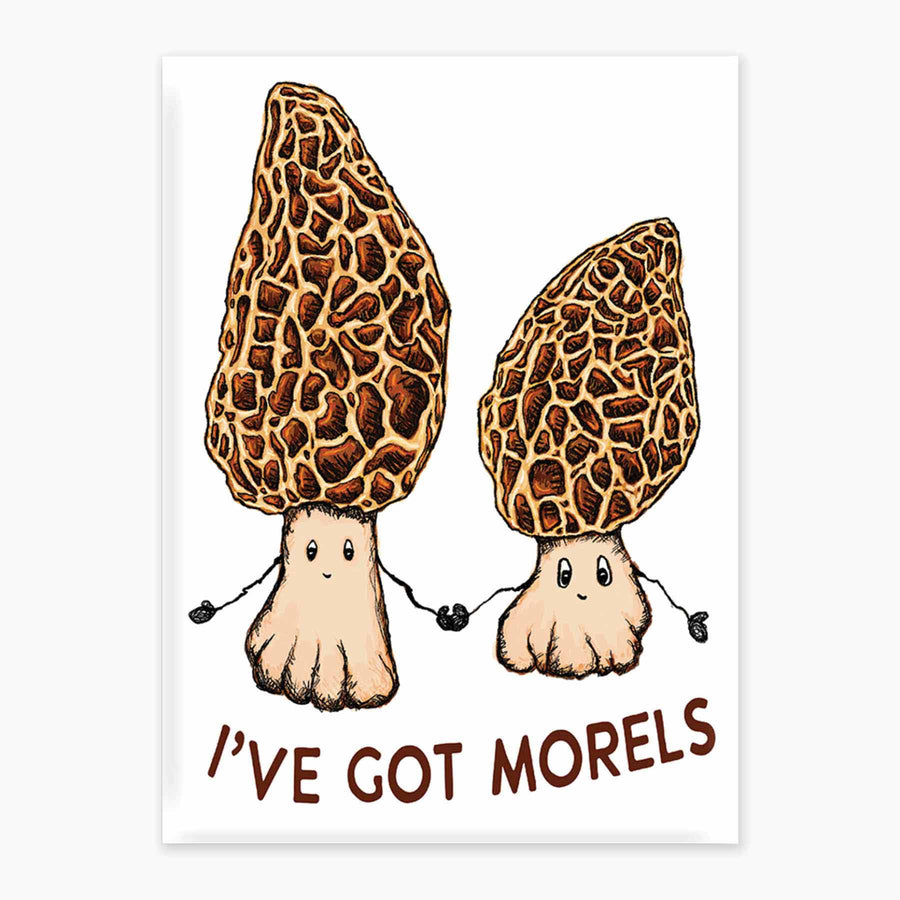 MORELS MAGNET
