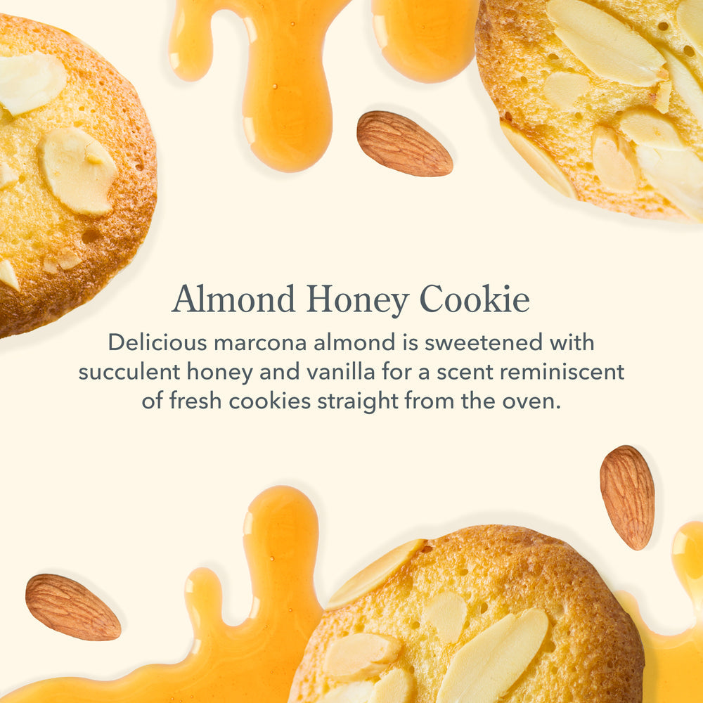 ALMOND HONEY COOKIE 12.5OZ GOAT MILK LOTION
